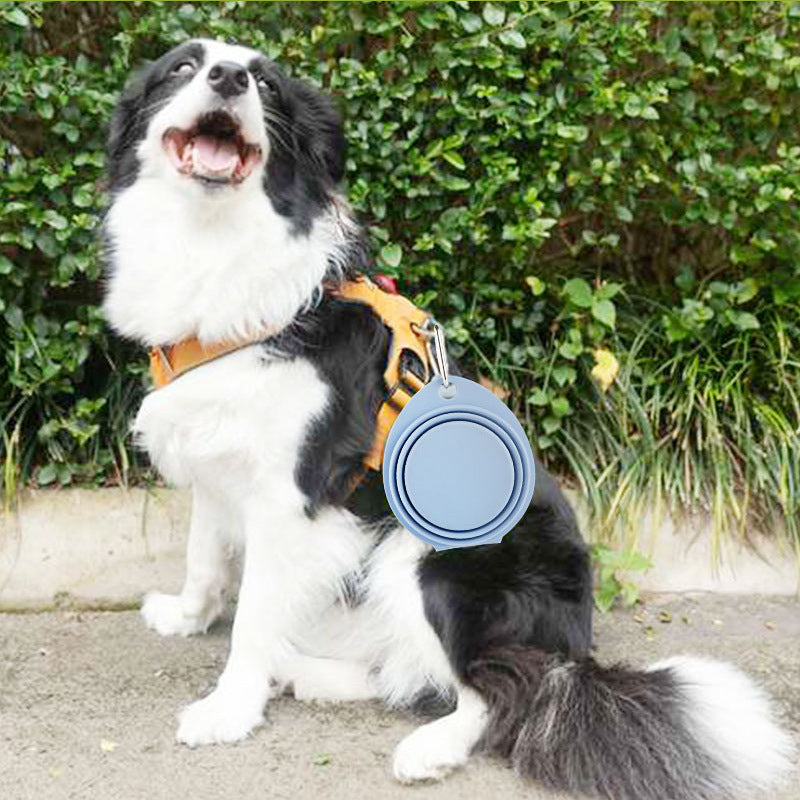 The Ultimate Portable Pet Feeding Solution